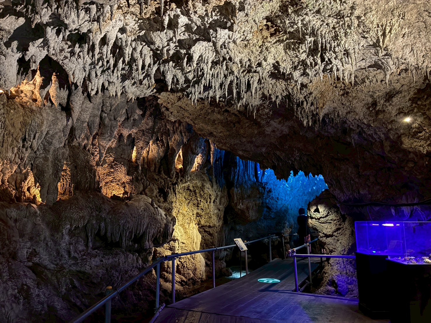 CAVE OKINAWAの鍾乳洞内通路