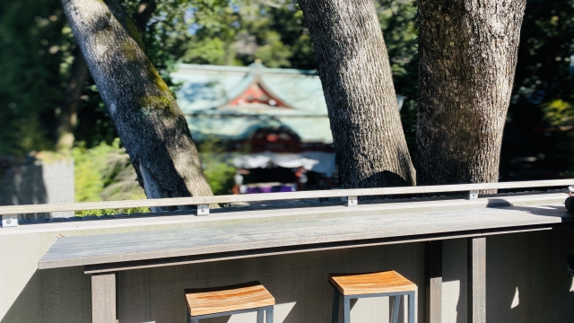 來宮神社の境内にあるカフェスペースから緑を眺める席