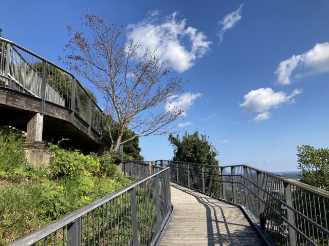 横山展望台へ続く整備されたスロープの道