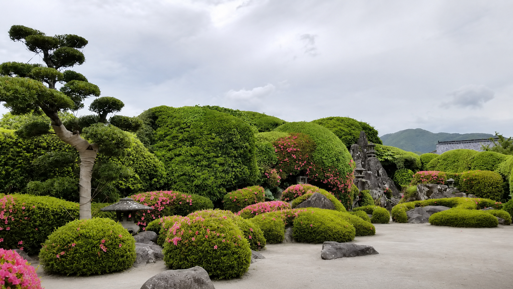 知覧武家屋敷庭園の借景と植栽