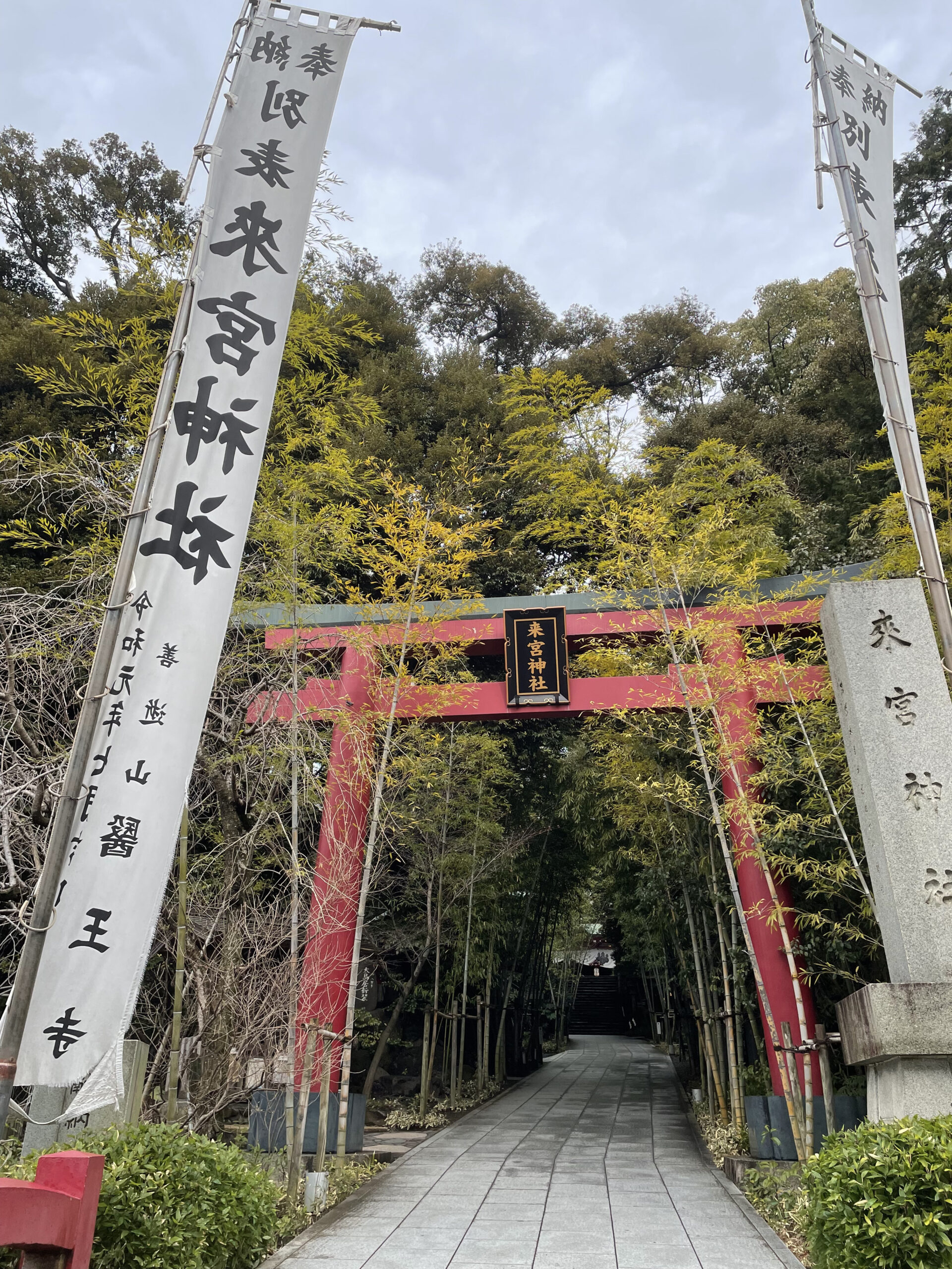 來宮神社の赤い鳥居と竹に囲まれた参道入口