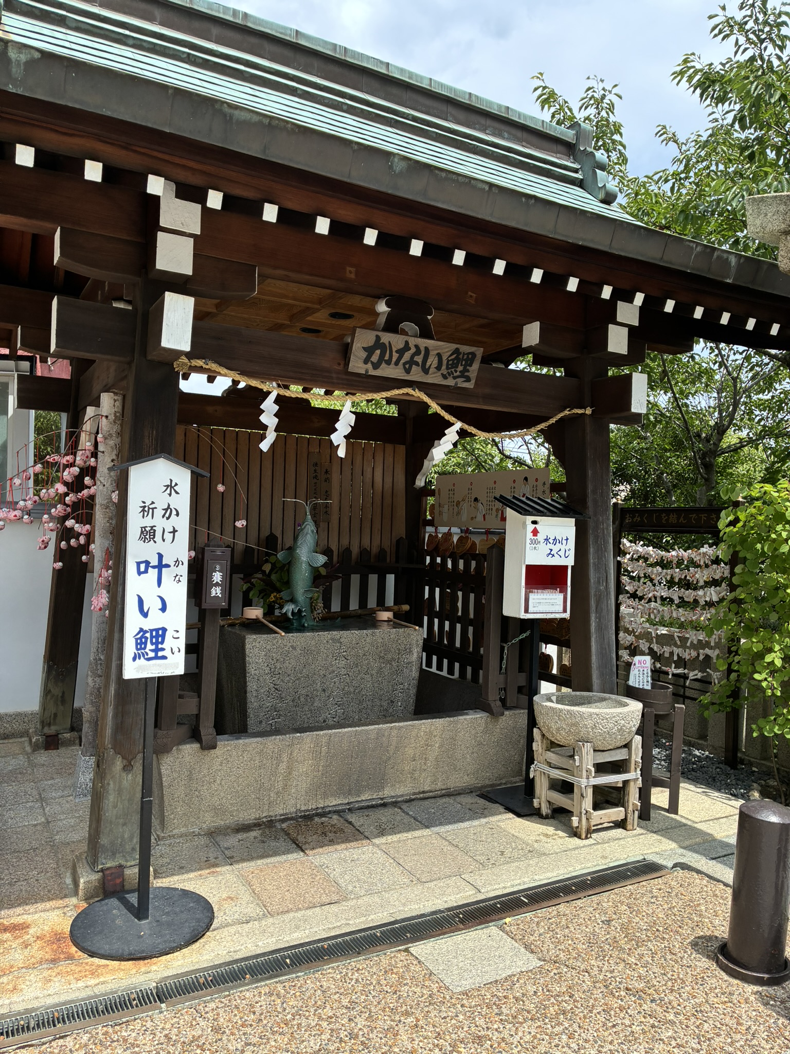 神戸北野天満神社の叶い鯉と水かけ祈願の手水舎