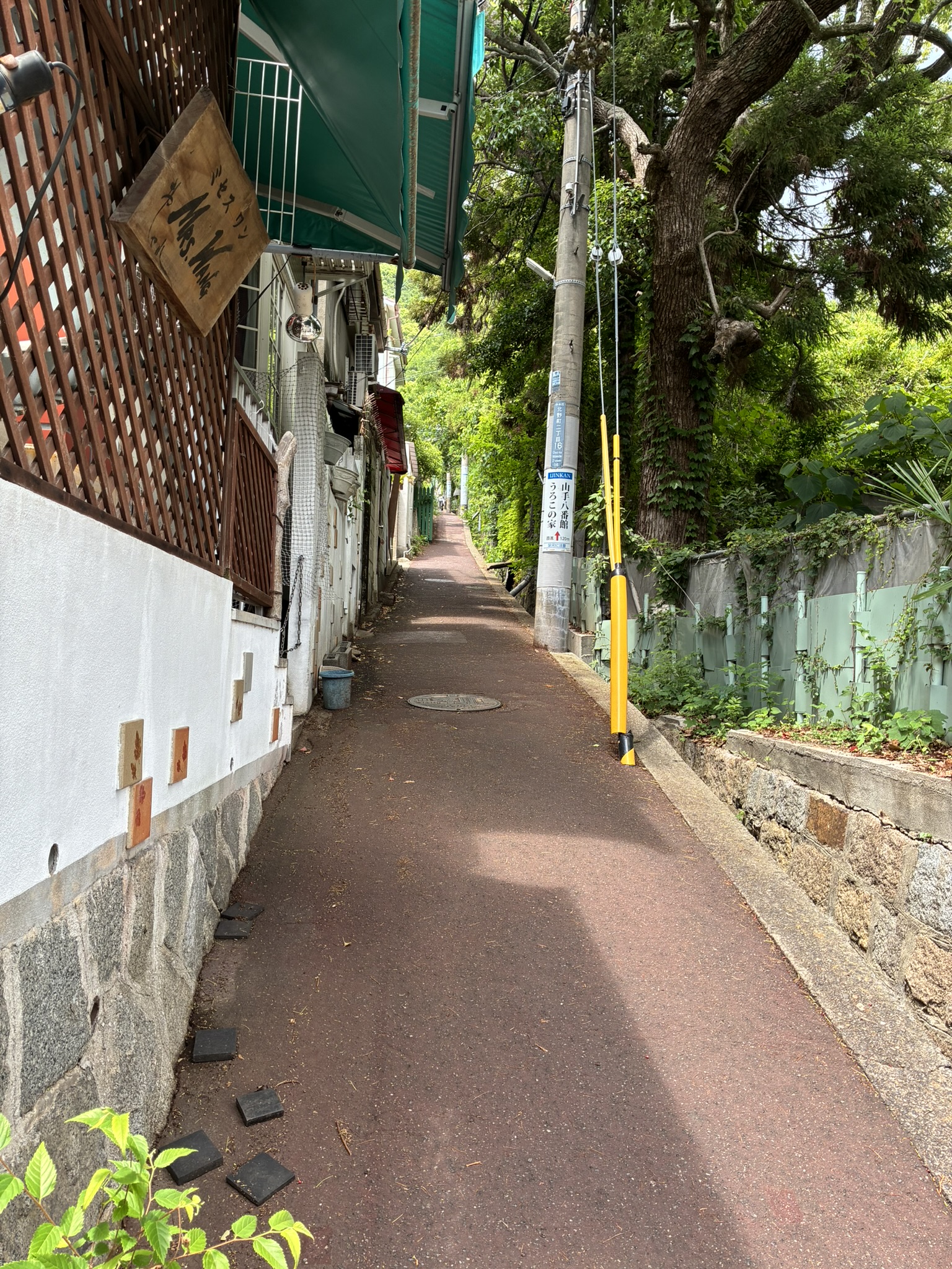 うろこの家へ向かう細く急な坂道