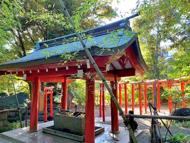來宮神社の赤い柱の手水舎と境内の緑