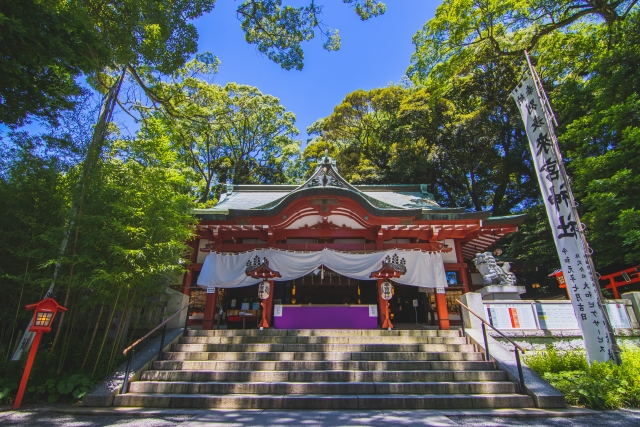 熱海の來宮神社の本殿と緑に囲まれた境内