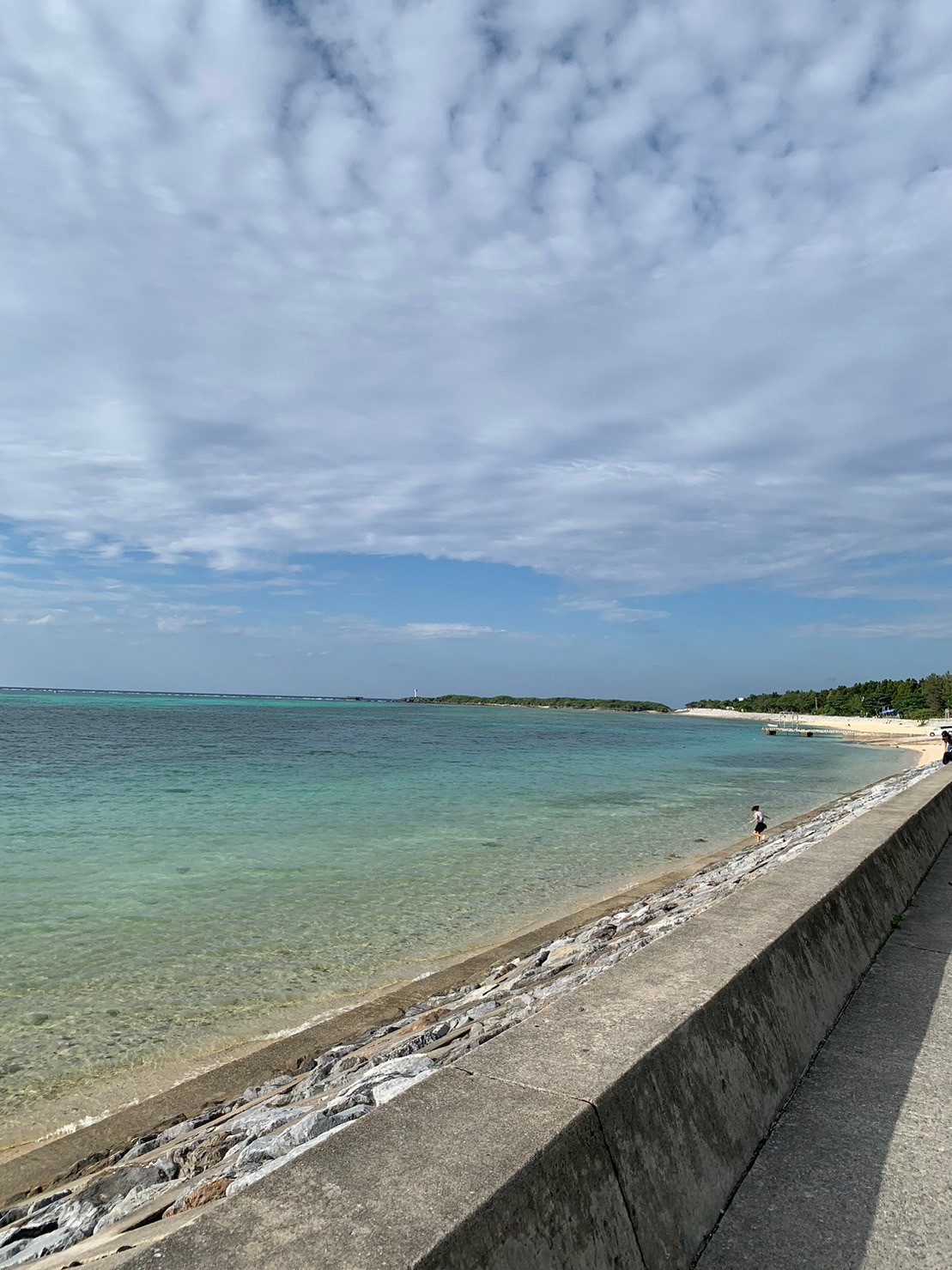 備瀬のフクギ並木の近くから見える沖縄の青い海