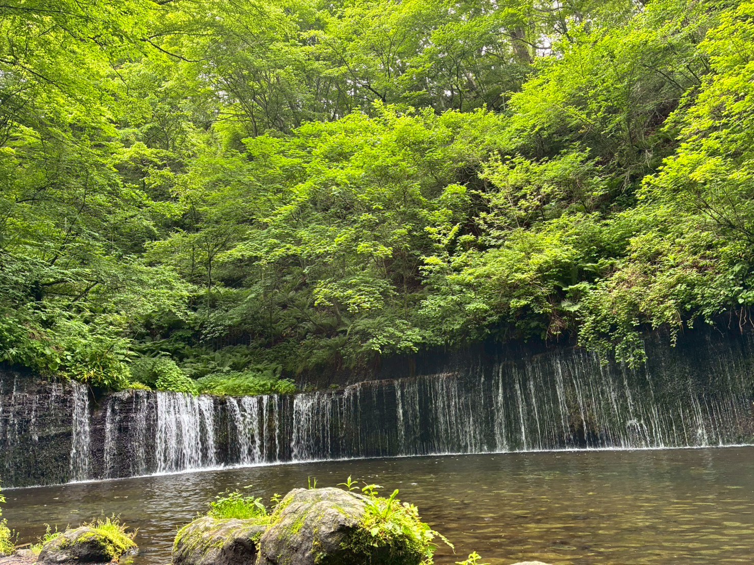 軽井沢の白糸の滝と新緑に囲まれた水辺の風景