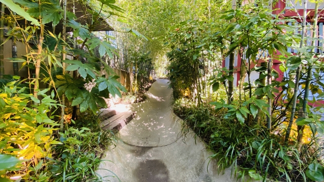 來宮神社の境内にある竹林の小道