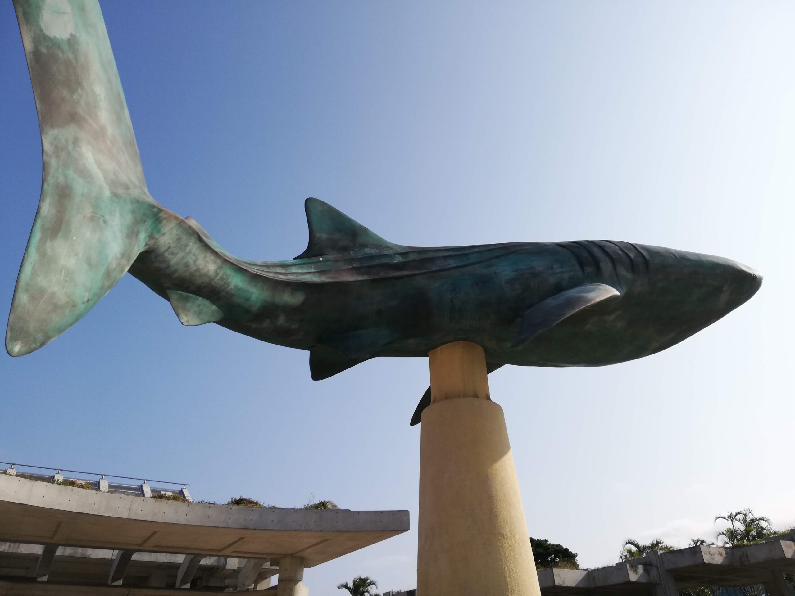 美ら海水族館の大きなジンベエザメ像を下から見上げた様子