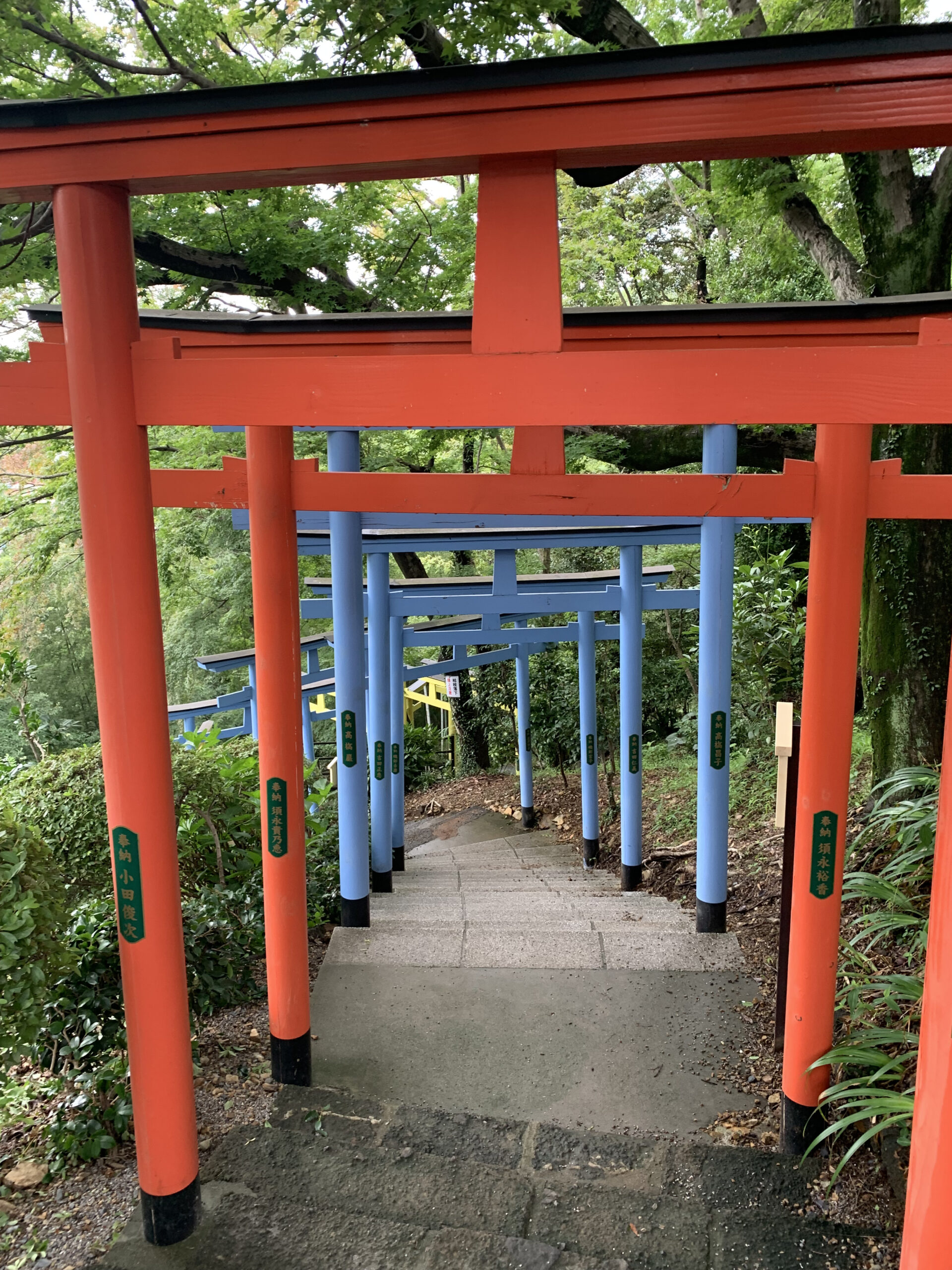 赤色や青色の鳥居が連なる足利織姫神社の七色の鳥居