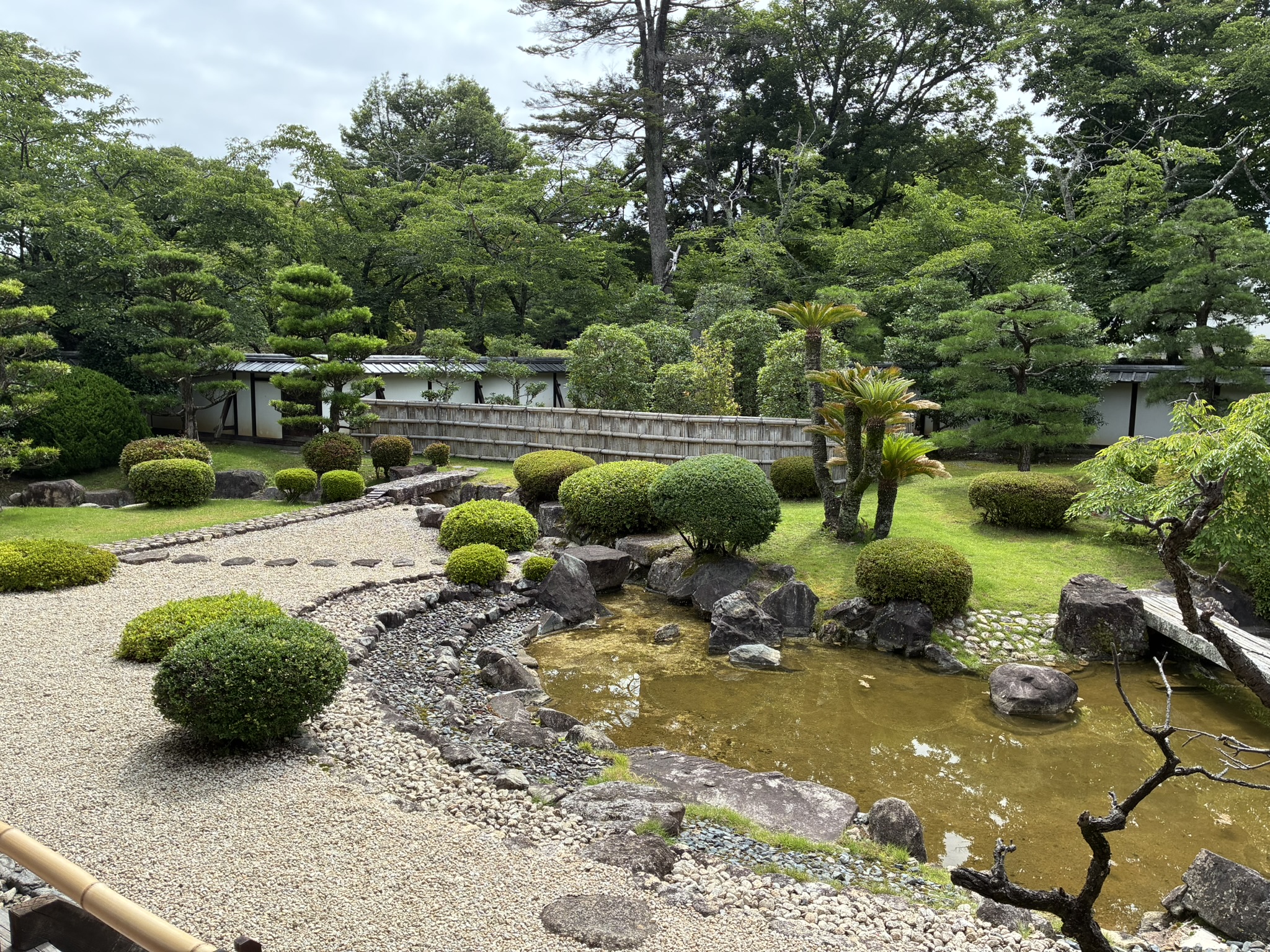 彦根城博物館から眺める池と植木の日本庭園