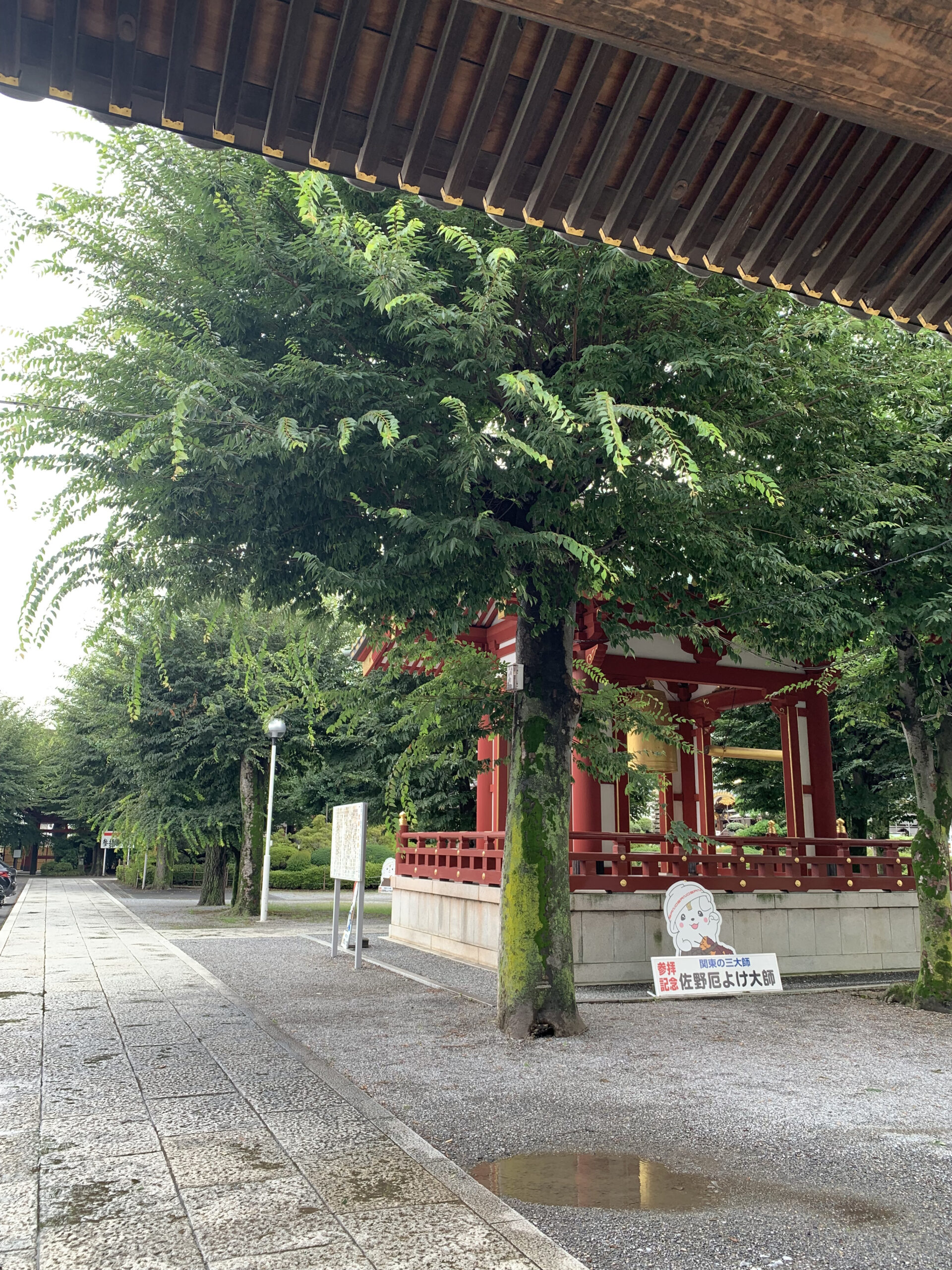 佐野厄除け大師の山門から本堂へ続く境内の参道