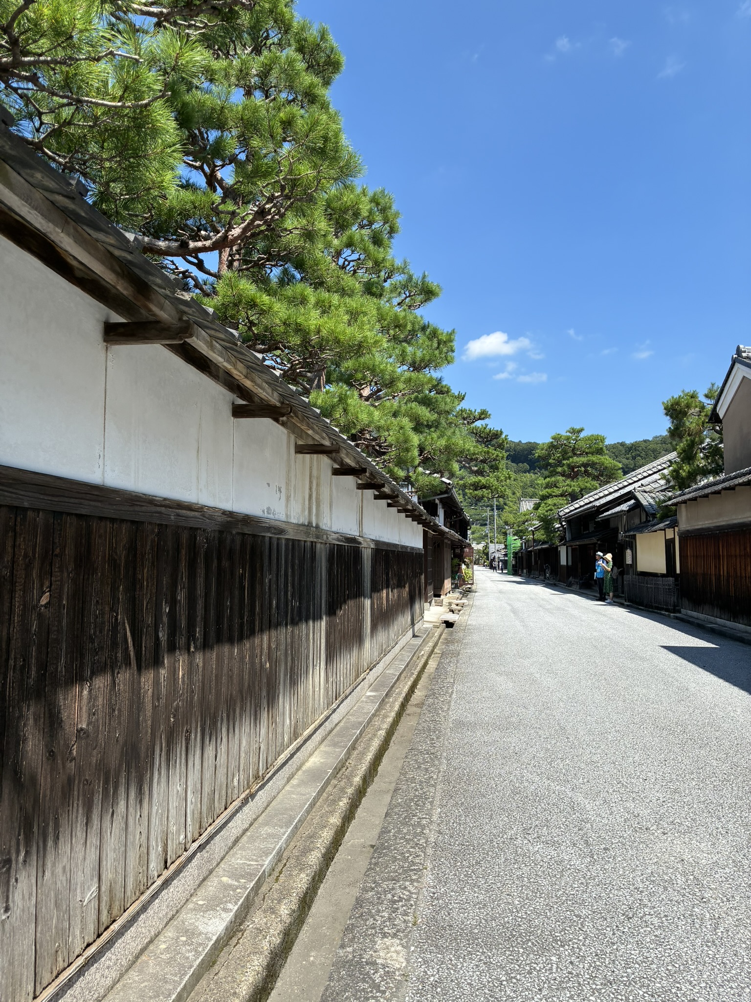 瓦屋根の町家が並ぶ近江八幡の新町通り