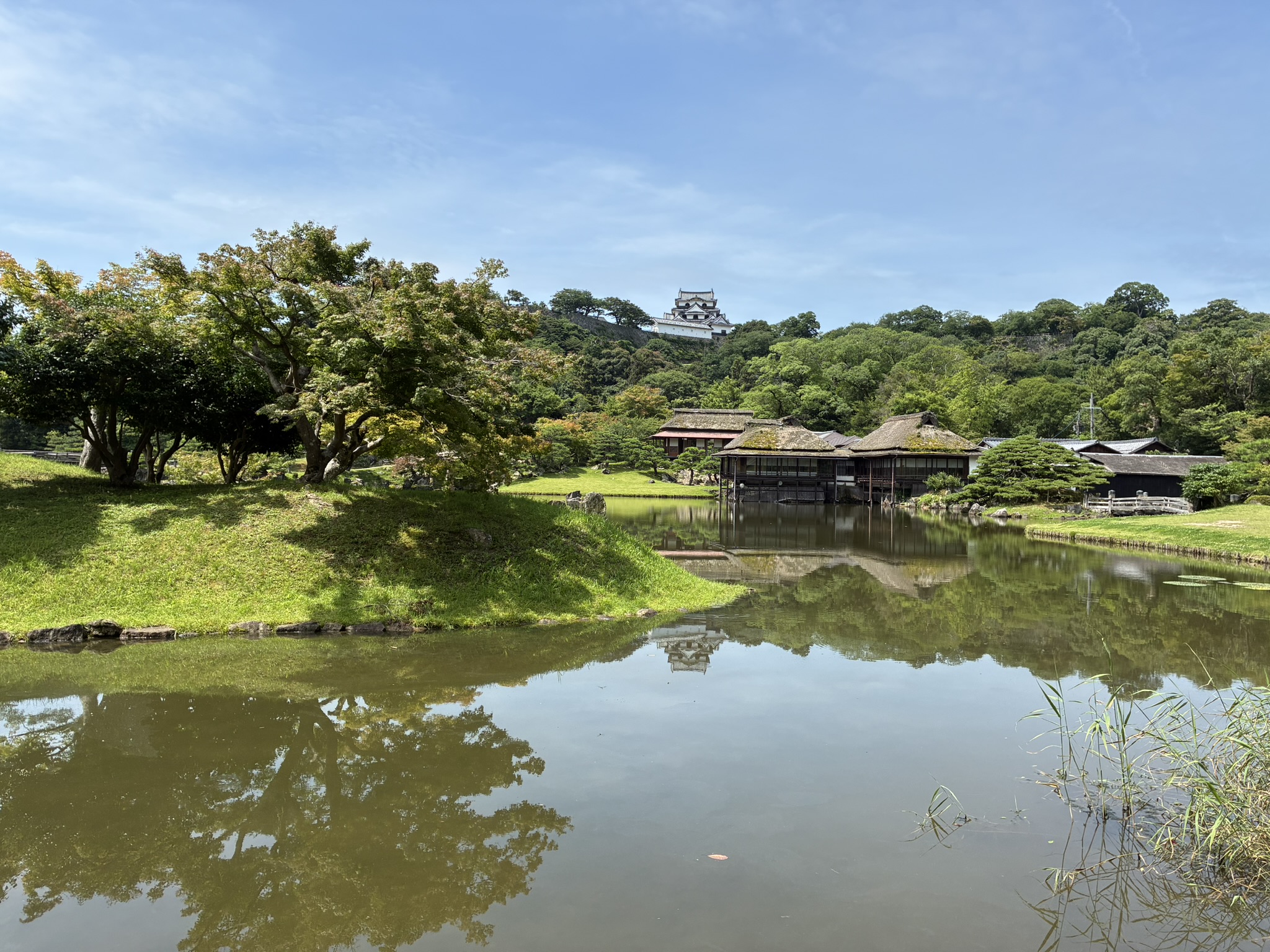 池越しに彦根城天守を望む玄宮園の日本庭園