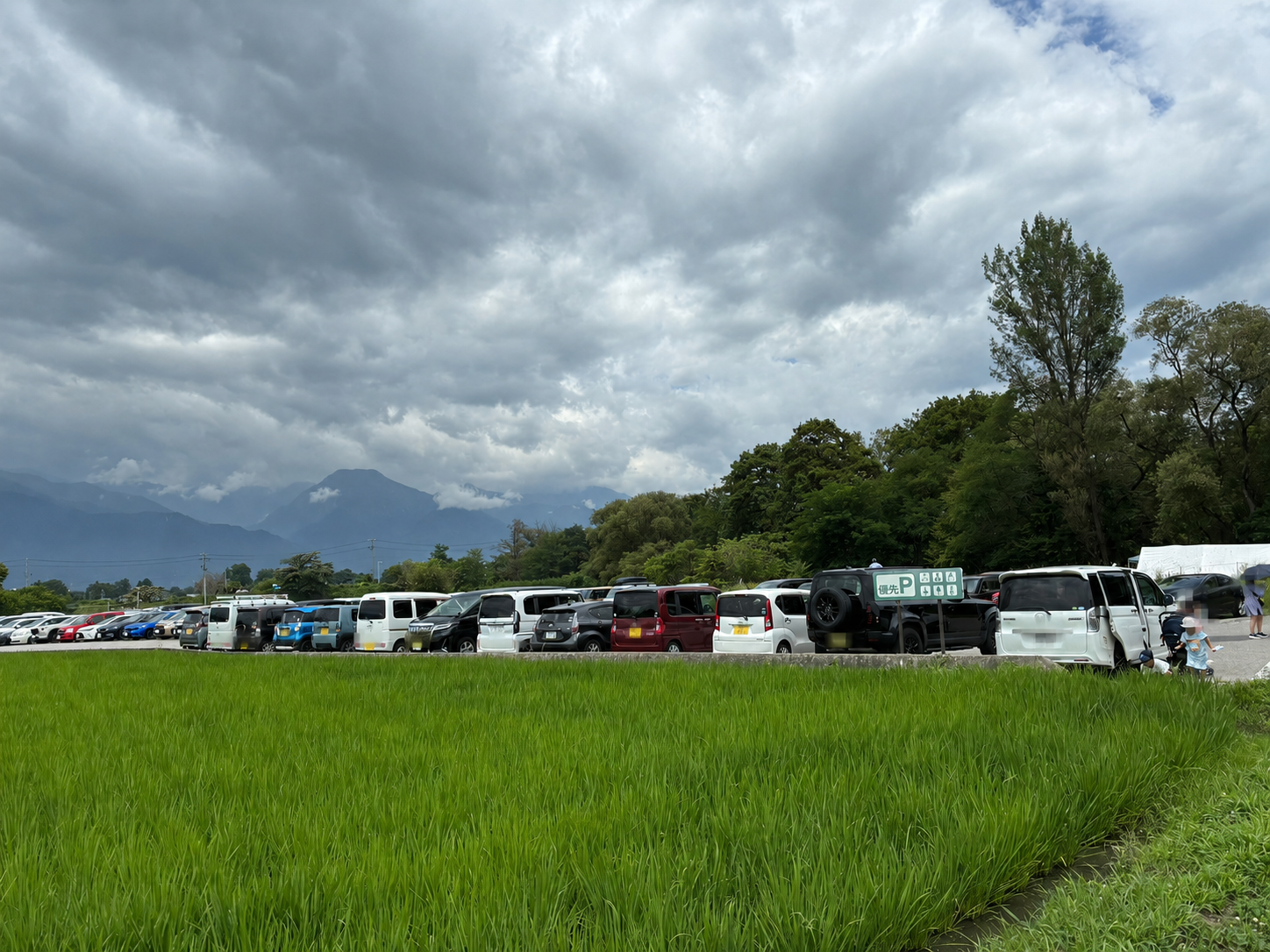 田園越しに見たほぼ満車の大王わさび農場駐車場