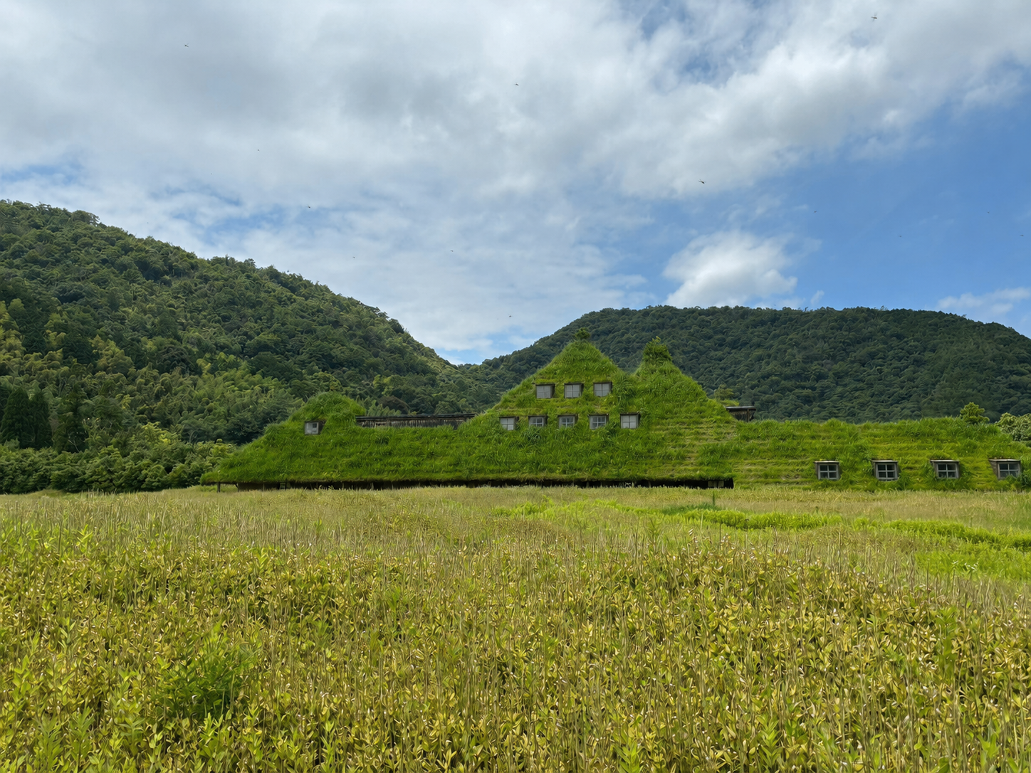 ラ コリーナ近江八幡の緑に覆われた草屋根のメインショップ