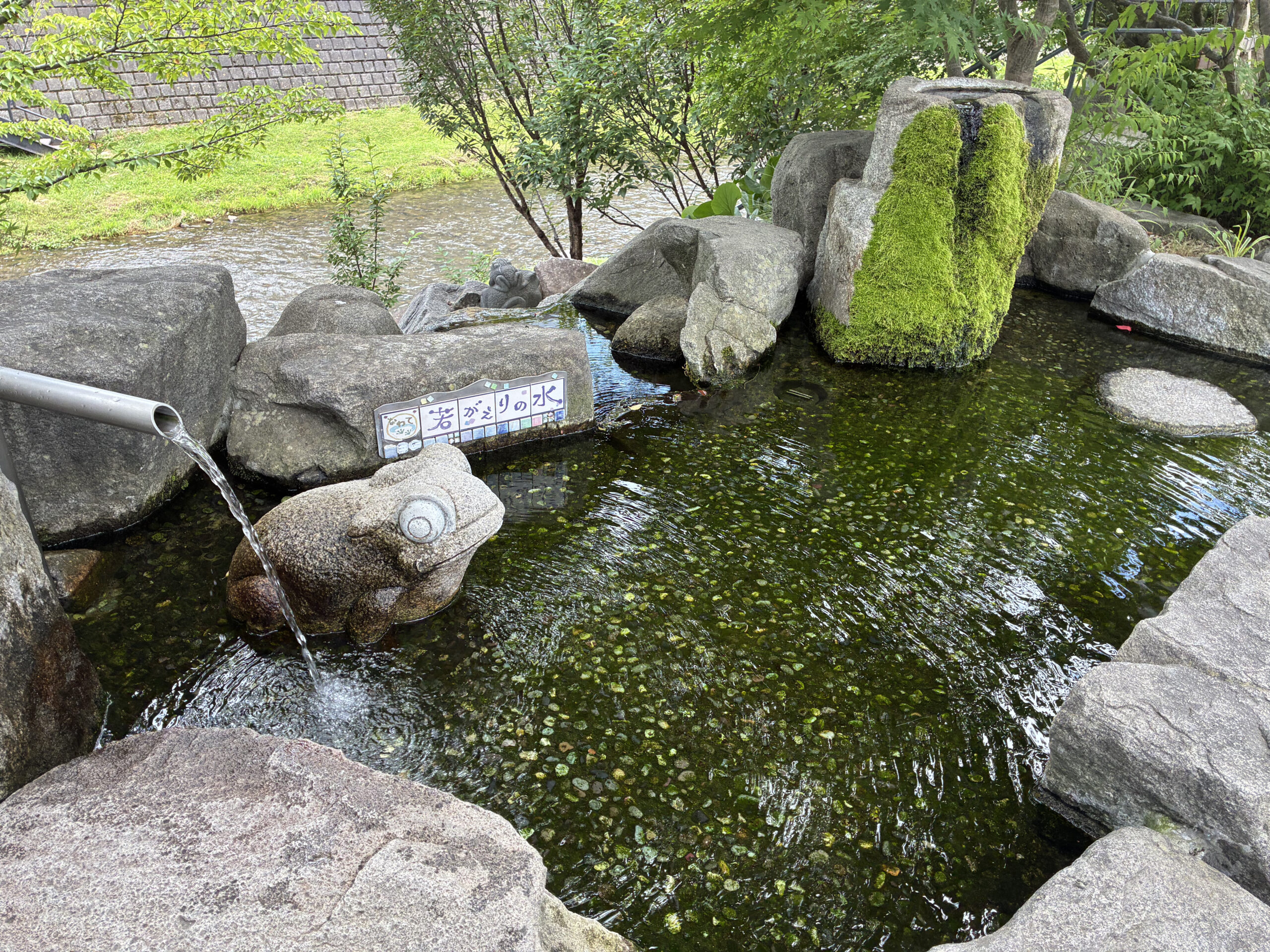 なわて通り沿いの若がえりの水にあるカエルの石像