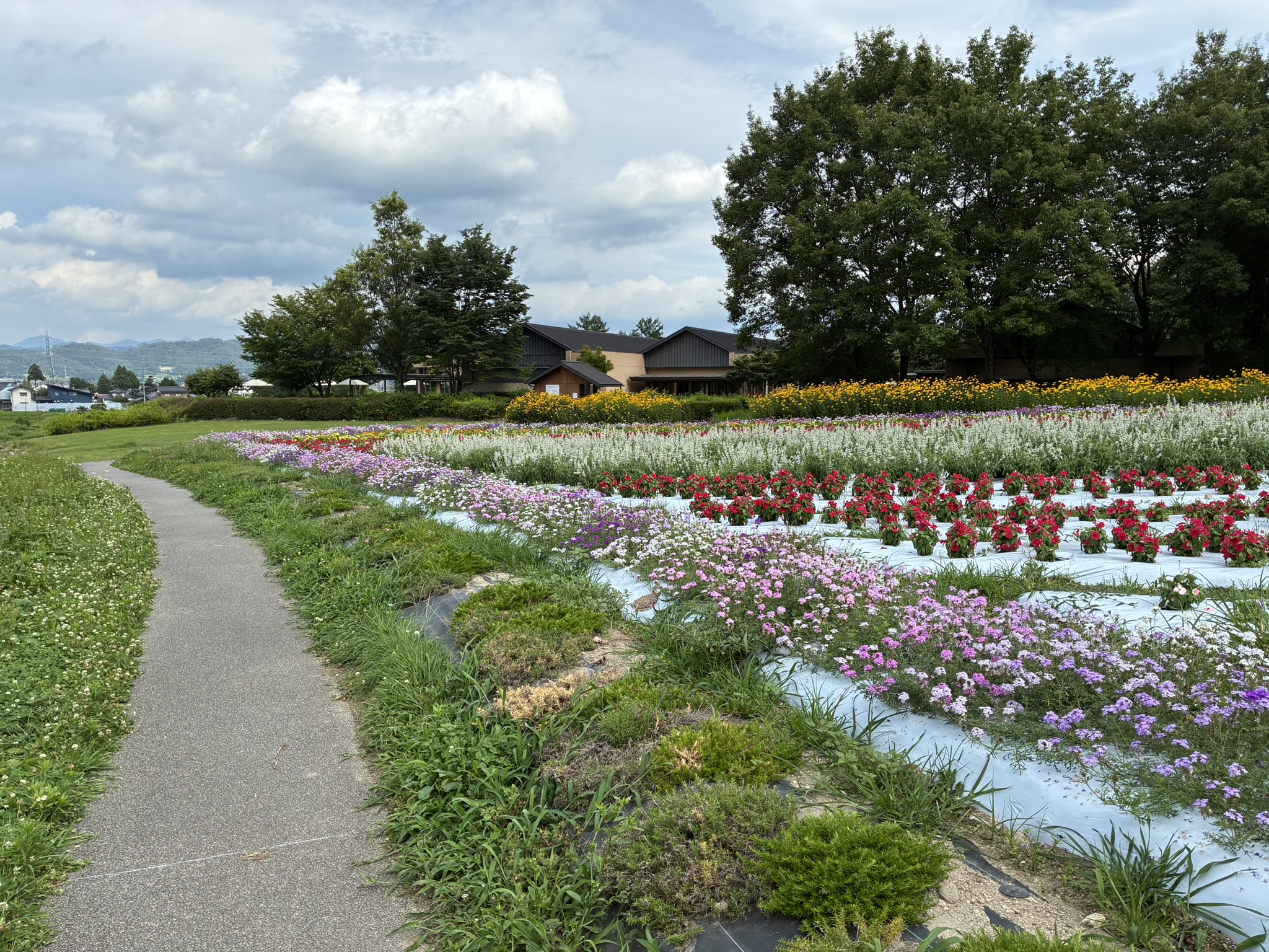 安曇野ちひろ公園の花畑と散策路の奥に見える美術館