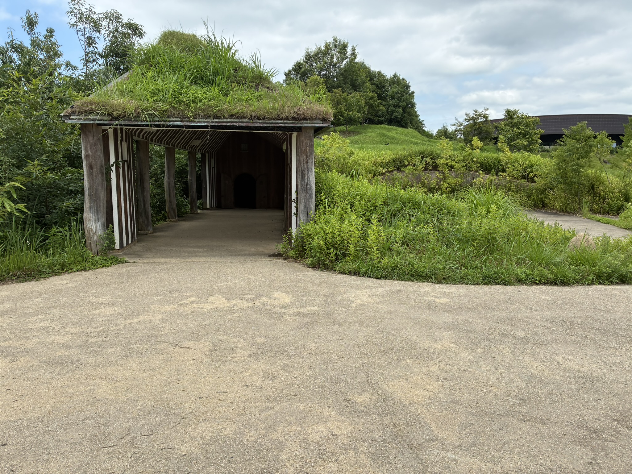 ラコリーナ近江八幡の緑に囲まれた屋根付き通路