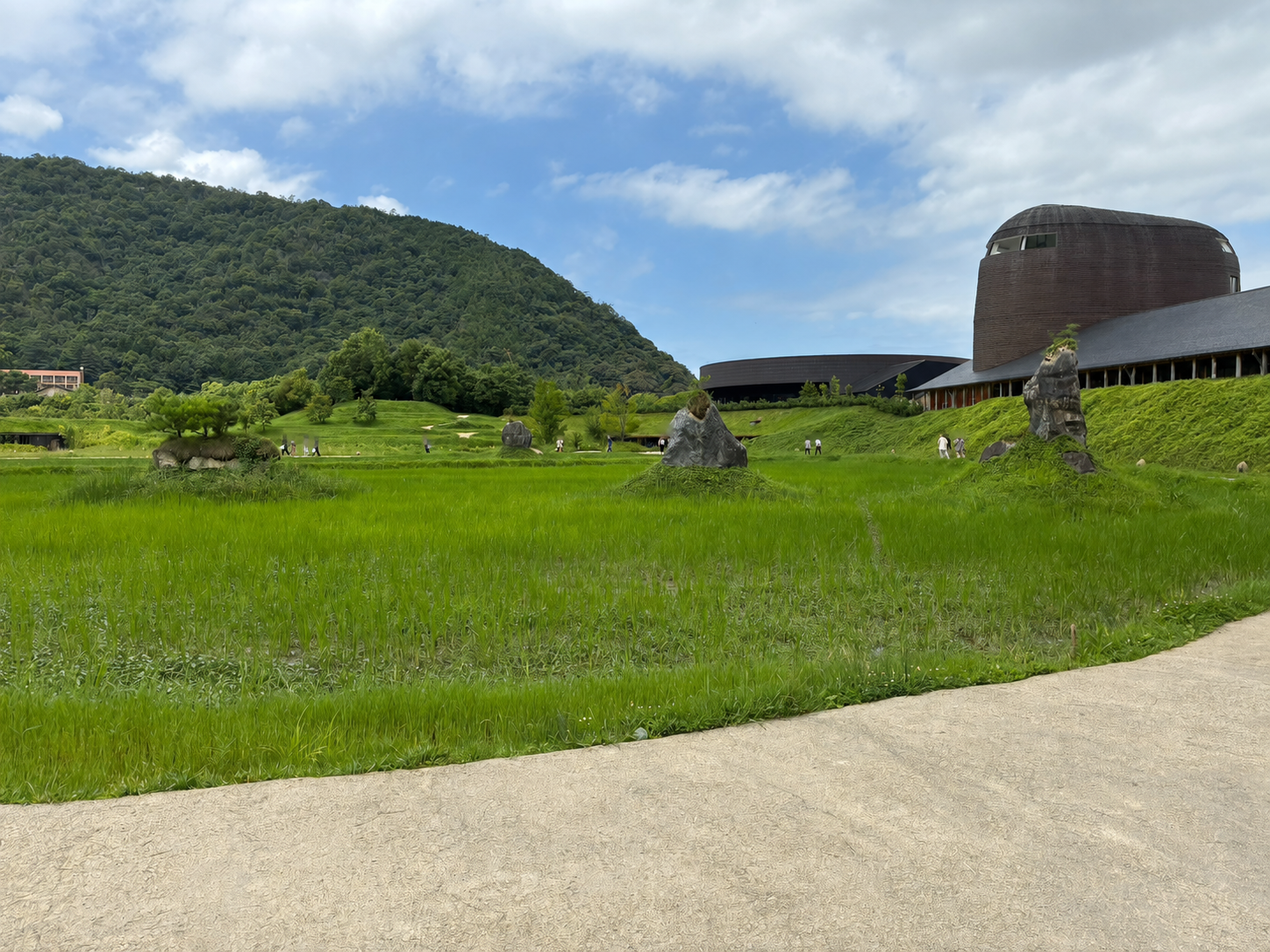 ラコリーナ近江八幡の田んぼと緑に囲まれた敷地内