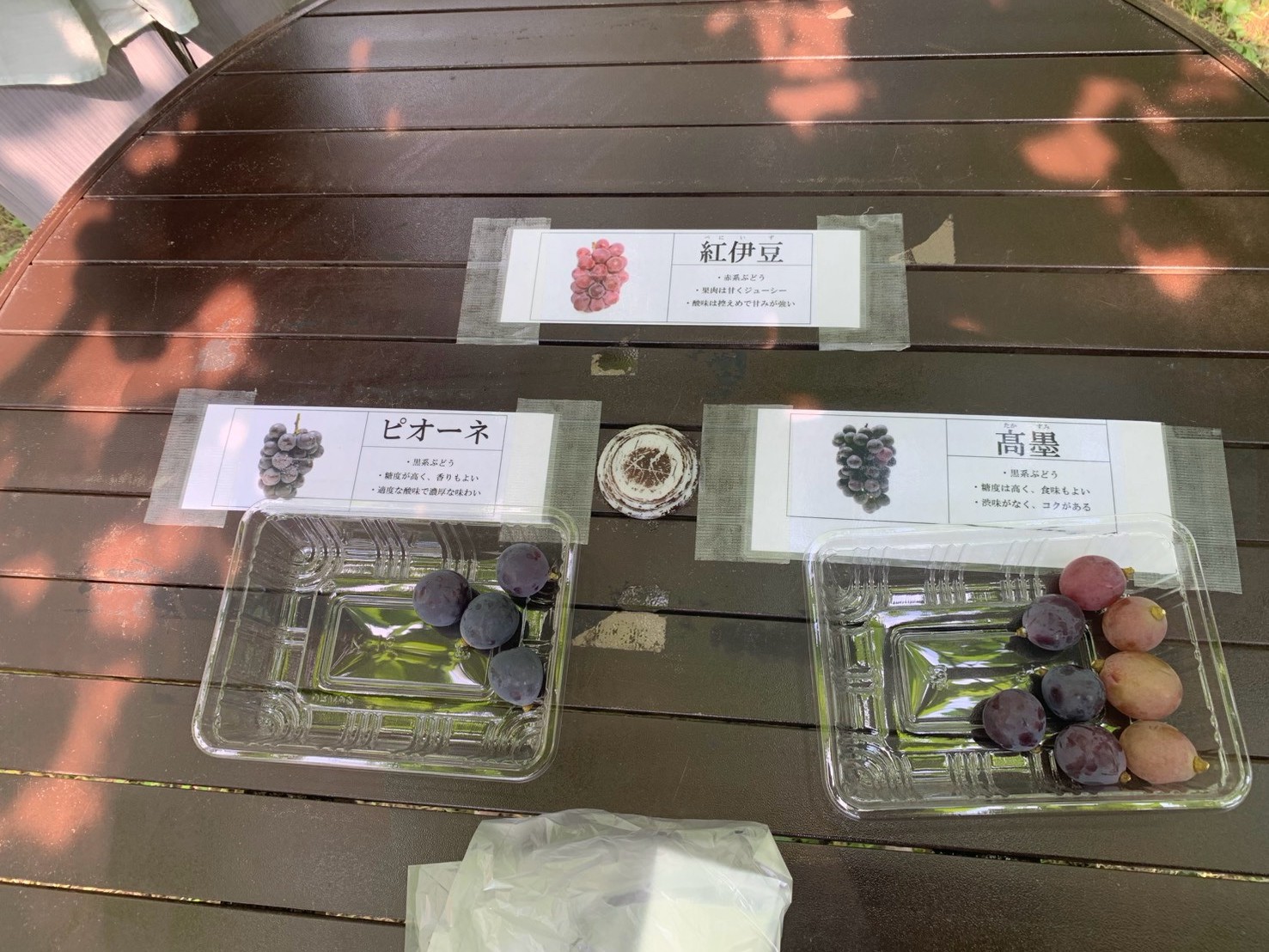 ピオーネ・高墨・紅伊豆のぶどう試食