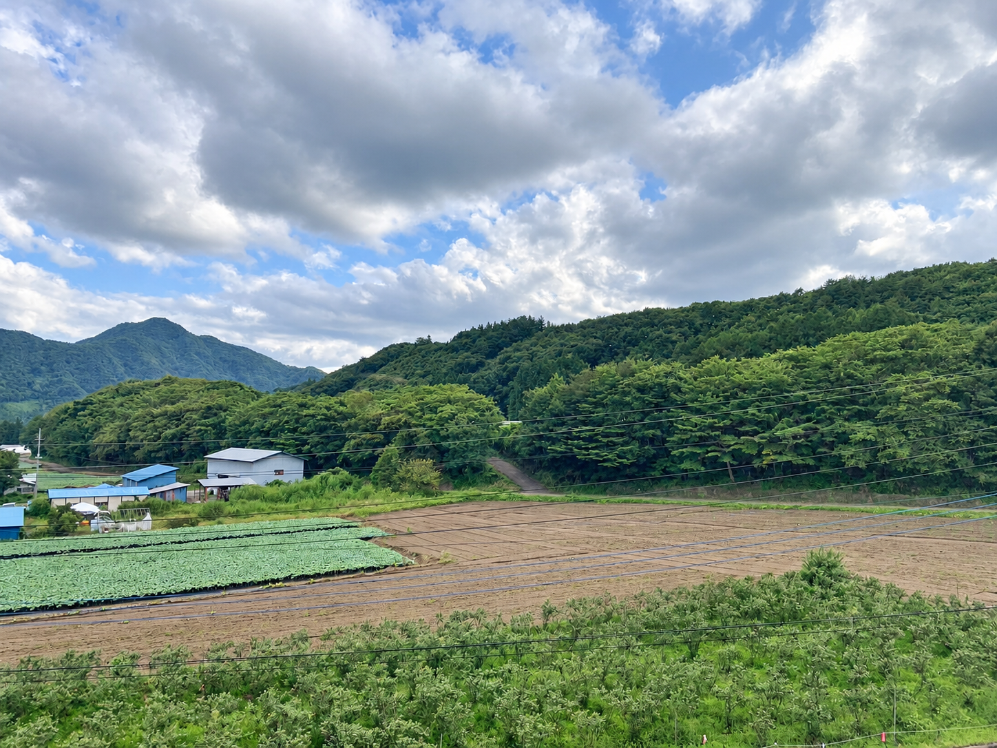 紫翠亭の客室から見える老神の山々