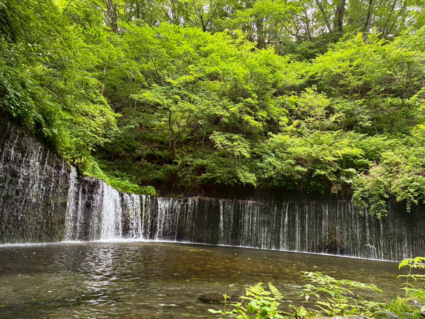 新緑に囲まれた軽井沢の白糸の滝