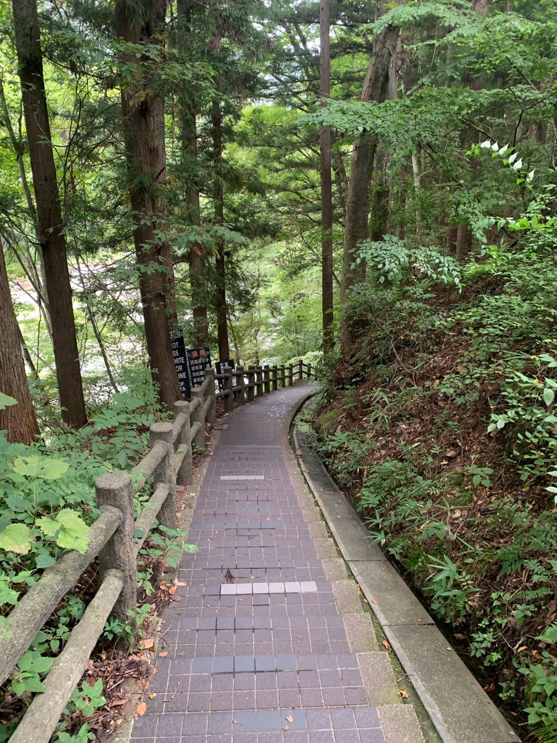 吹割渓谷の木々の間を下る段差のある遊歩道