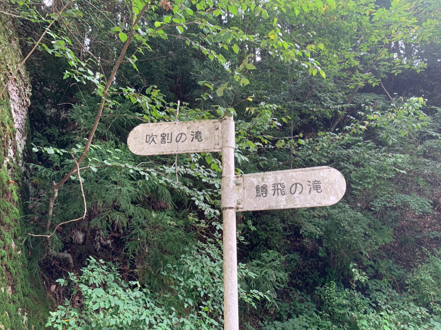 吹割の滝と鱒飛の滝への方向を示す遊歩道の道標
