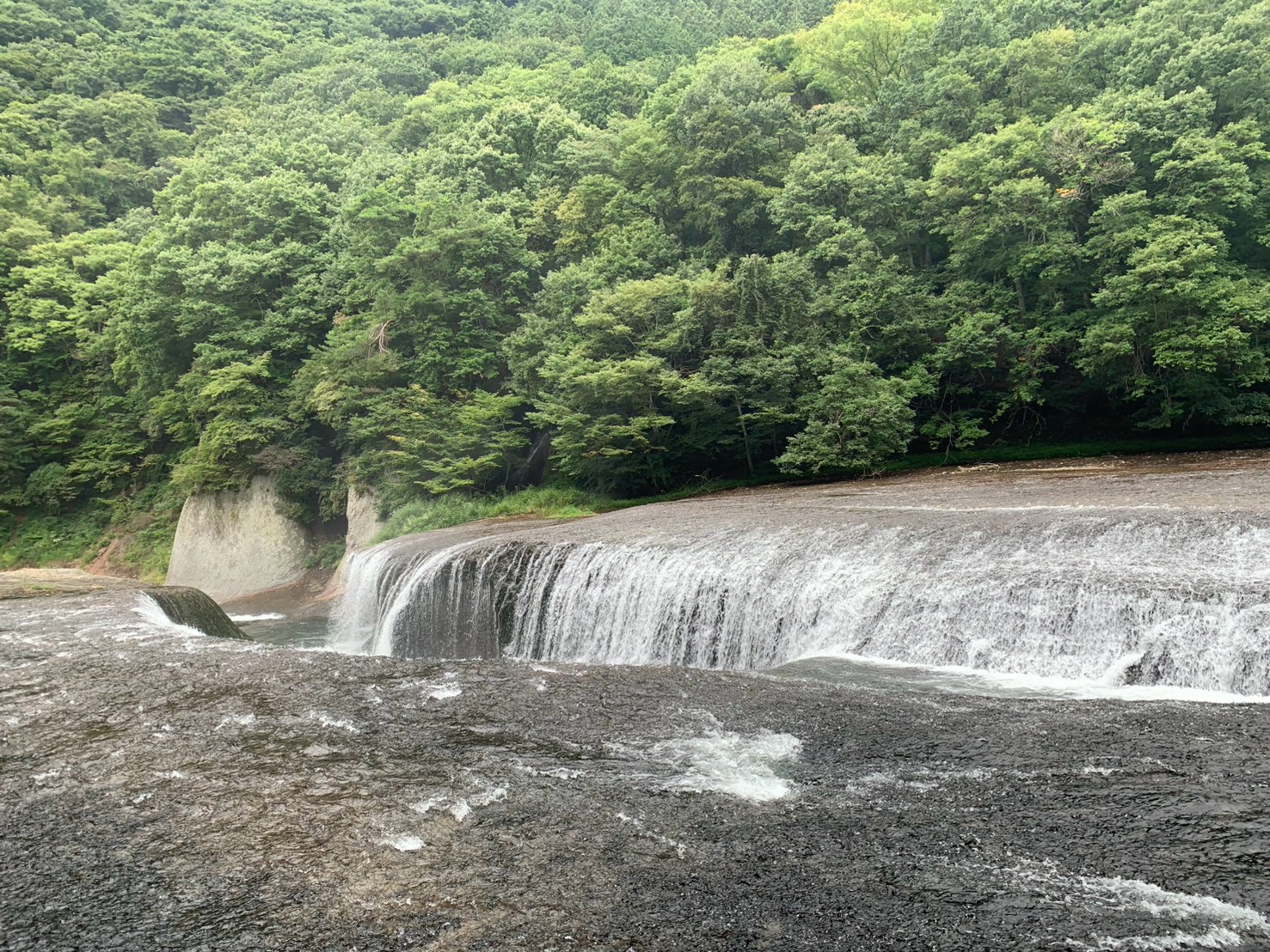 緑の渓谷を背景に岩の割れ目へ流れ落ちる吹割の滝